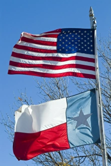 Texas Travel Destinations Drucke: American and Texan flags