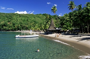 St Lucia Beach Drucke: Anse Chastenet, St