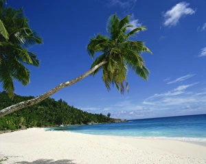 Drucke von Die Anse Intendance auf der Insel Mahé in den Seychellen im Indischen Ozean nahe dem afrikanischen Kontinent Seychellen Drucke: Keine Übersetzung möglich