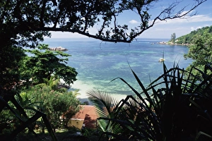 African Ocean Views Drucke: Anse Lazio