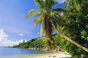 Drucke von Anse Lazio ist der Chevalier-Bay auf dem Praslin in den Seychellen im Indischen Ozean Seychellen Drucke: Aner Kanal zu Ansen