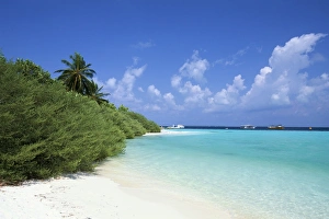 Indian Ocean Getaway Drucke: Asdu Island