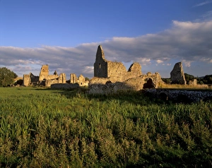 Munster Architecture Drucke: Athassel Priory