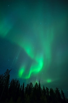 Drucke von Nordlicht über Koniforenwald bei Nacht in Muonio im nördlichen Finnland Finnland Drucke: Nordlicht über Konifernwald bei Nacht in Muonio, Norden Finnlands