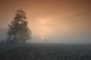 Autumn Landscape Photography Drucke: Autumn impression