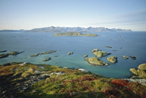 Arctic Norway Landscape Drucke: Autumnal bloom