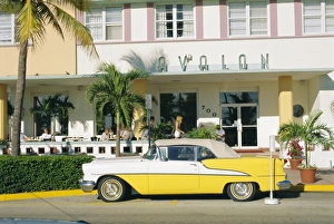 Sunny Day Photography USA Drucke: The Avalon Hotel