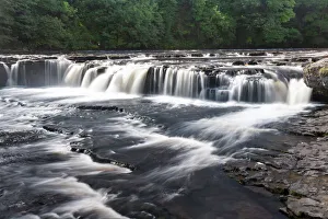 Drucke von Aysgarth-Fälle im Yorkshire-Dale in der Grafschaft von North-Yorkshire in Nordengland im Vereinigten Königreich Europas Yorkshire Drucke: Aysgarth-Fälle im Yorkshire-Dale in der Grafschaft West-Yorkshire in Nordengland im Vereinigten Königreich Europas