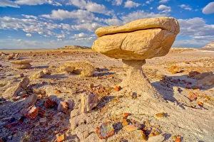 North American Natural Landmarks Drucke: Balanced rock that resembles a toadstool, petrified wood scattered around the formation