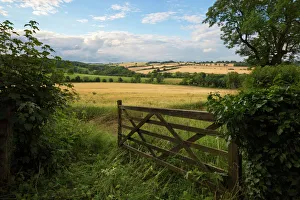 Fünf-Stangen-Tor öffnet sich in die Gerbereifelder von Guiting Power im Cotswold District des Gloucestershire