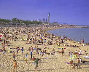 European Coastline Drucke: Barcelona Beach