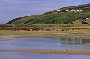 Contemporary European Landscapes Drucke: Barley Cove