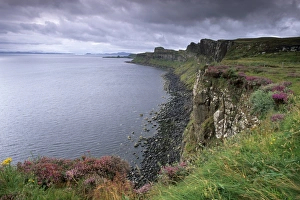 Inner Hebrides Landscape Photography Drucke: Basaltic cliffs dominating Rsay Sound