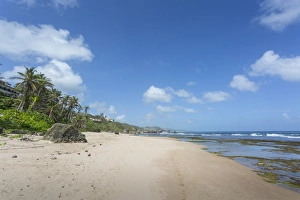 Barbados Beaches Drucke: Bathsheba Beach, Bathsheba, St. Joseph, Barbados, West Indies, Caribbean, Central America