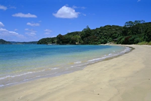 Pacific Ocean Beaches Drucke: Bay of Islands