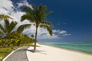 Colorful Palm Tree Images Drucke: The beach of the Beachcomber Dinarobin six star hotel, Mauritius, Indian Ocean, Asia
