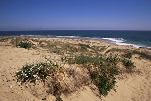 European Ocean Views Drucke: Beach, Cape Trafalgar
