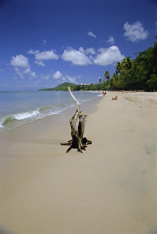 Caribbean Nature Scene Drucke: Beach at Choc Bay, St