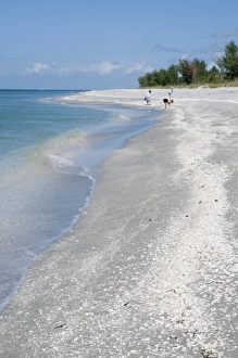 Bilder Datiert 22. Oktober 2009: Strand mit Schalenüberzug, Captiva-Insel
