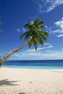 Mahe Island Coast Drucke: Beach, Mahe