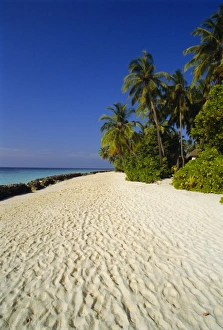 Indian Ocean Getaway Drucke: Beach, Nakatchafushi