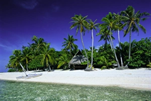 French Polynesia Island Getaway Drucke: Beach and palm trees