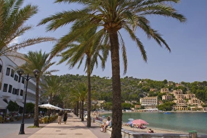 Balearic Islands Shore Drucke: Beach with palm trees, Soller, Mallorca, Balearic Islands, Spain, Mediterranean, Europe