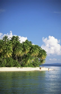 Tobago Beach Drucke: Beach at Pigeon Point