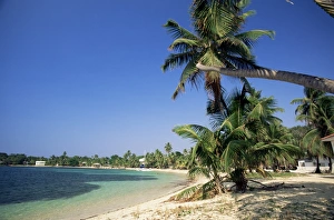 Central America Beach Destinations Drucke: Beach at resort of West End