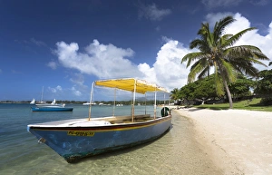 Mauritius Island Drucke: Beach scene with palm trees