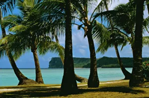 Tropical Island Getaway Drucke: Beach view, Guam, Pacific