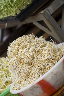Yunnan Province Attractions Drucke: Beansprouts outside restaurant, Lijiang old town, Yunnan, China, Asia