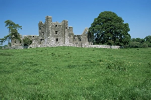 12th Century Architecture Drucke: Bective Abbey
