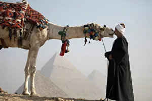 Ein Beduinenführer mit seinem Kamel überblickt die Pyramiden von Gizeh, Weltkulturerbe der UNESCO