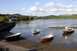 United Kingdom Photography Drucke: Bere Ferrers, River Tavy, Devon, England, United Kingdom, Europe