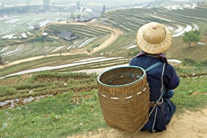 Traditional Vietnamese Costume Drucke: Black Hmong ethnic group and rice fields