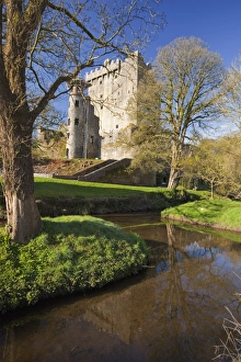 Burg Blarney Drucke: Blarneys Schloss im Frühjahr, Grafschaft Cork, Munster und Republik Irland