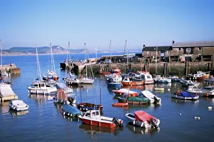 Booten im Hafen von Lyme Regis in Dorset im Vereinigten Königreich Großbritannien Europa