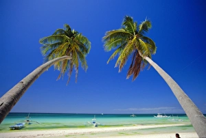 Tropical Paradise Drucke: Borocay, Philippines