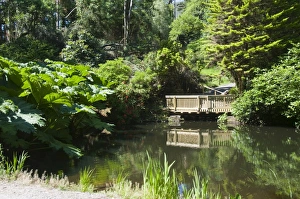 European Lakeside Scenes Drucke: Botanical Gardens at Kells, Ring of Kerry, County Kerry, Munster, Republic of Ireland