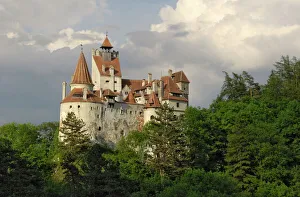 Drucke von Das Dracula-Schloss (Brancußesches Schloß), Brașov, Rumänien Rumänien Drucke: Branburg Schloss (Draconenfestung), Brașov, Transsilvanien, Rumänien Europa