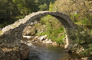 Inverness Drucke: Die Brücke von Carr wurde im Jahr 1717 erbaut; Carrbridge ist ein Ortsteil der Schottisch-Dänen-Scheide