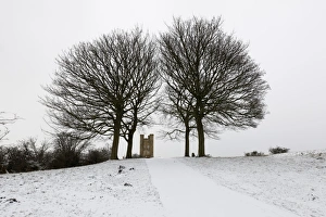 Drucke von Das Broadway-Tower mit nackten Bäumen im Schnee in der Stadt Broadway im Cotswold District von Worcestershire in England Großbritannien Europa Bilder Datiert 2017 Januar: Der Broadway-Turm umgeben von nackten Bäumen im Schnee am Broadway in den Cotswolds im Worcestershire