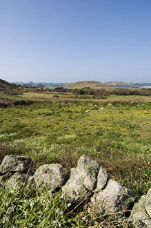 Isles Of Scilly Drucke: Bryer (Bryh)