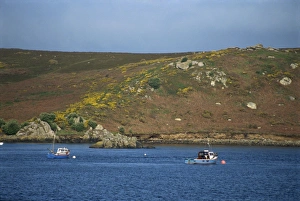 Isles Of Scilly Drucke: Bryer, Isles of Scilly