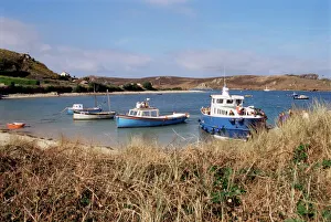 Drucke von Bryher Insel der Shireinseln Großbritannien Europa Verwandte Bilder Drucke: Bryher Insel der Shelly Isles Vereinigtes Königreich Europa