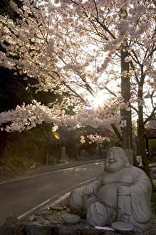 Bilder Datiert 4. August 2008: Buddhastatue