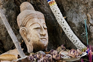 Buddhist Statue In Nature Drucke: Buddhist head placed at tree base, Chiang Mai, Thailand, Southeast Asia, Asia