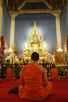 Wat Benchamabophit Bangkok Drucke: Buddhist monk praying