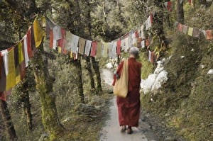 Buddhist Monasteries In India Drucke: Buddhist monk walking down path